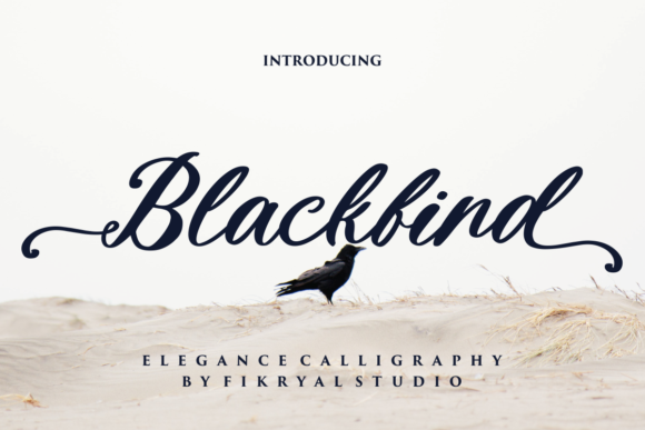 Blackbird: The Cursive Script Font for Elegant Design
